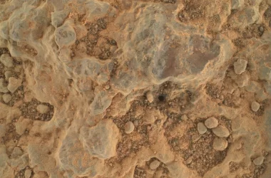 Foto Dettagliata del suolo Marziano catturata dal rover Perseverance