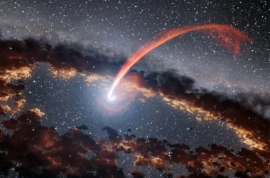 Un team di astronomi ha documentato un fenomeno molto comune nell'universo descrivendo come i buchi neri fanno spuntino con una vicina stella
