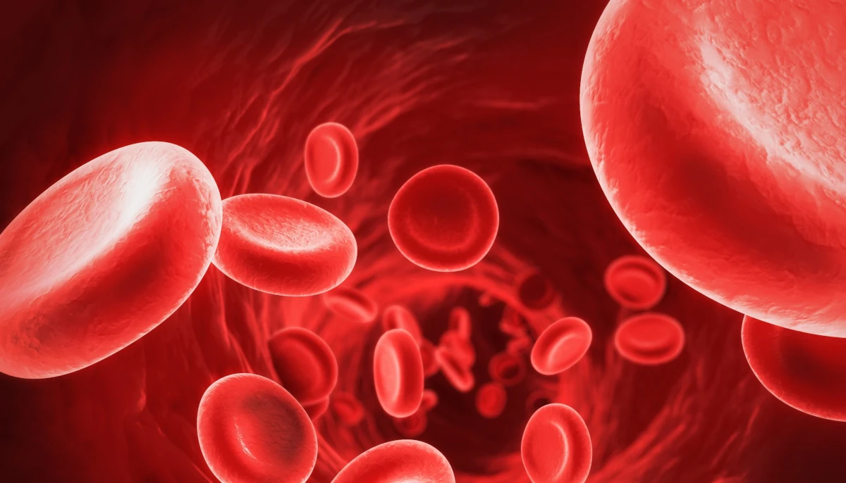 Lo studio certifica che lo spazio distrugge i globuli rossi con una percentuale superiore del 50% del totale, causando anemia spaziale
