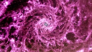 L'ultima immagine catturata da James Webb la galassia a spirale NGC-628