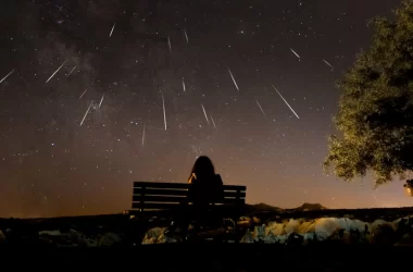 Sciami meteorici
