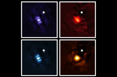 Le immagini dell'esopianeta HIP 65426b catturate da James Webb
