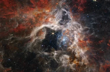 La nebulosa Taratola catturata da James Webb