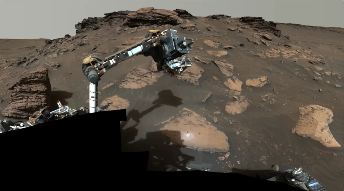 Sul suolo di Marte Perseverance sta ricercando materiale organico