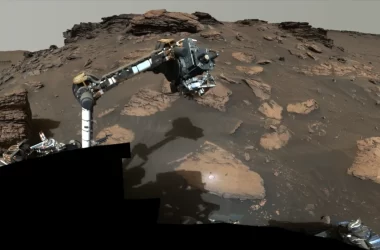 Sul suolo di Marte Perseverance sta ricercando materiale organico