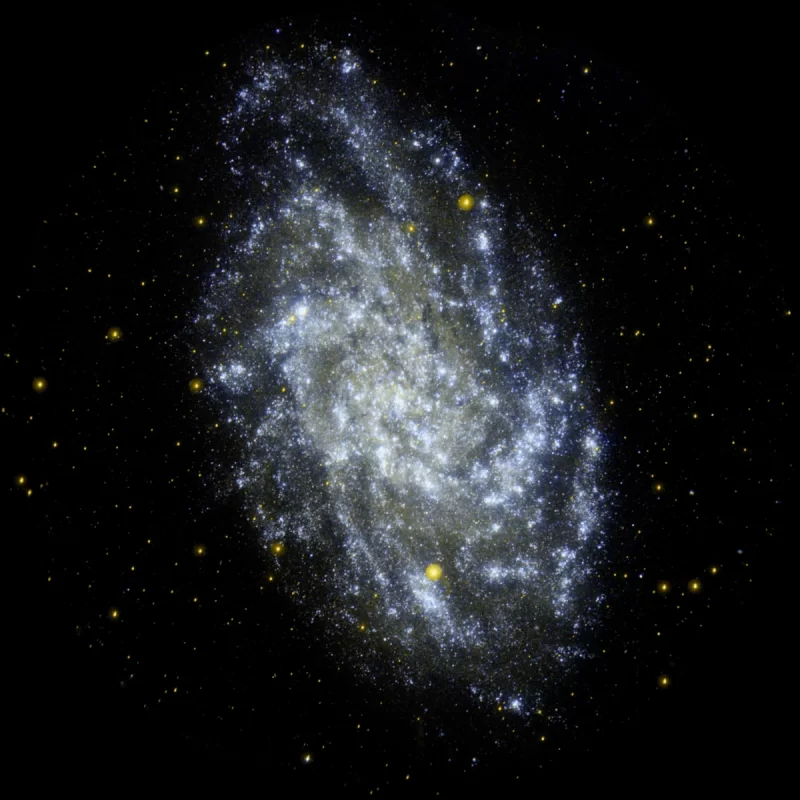 Galassia M33