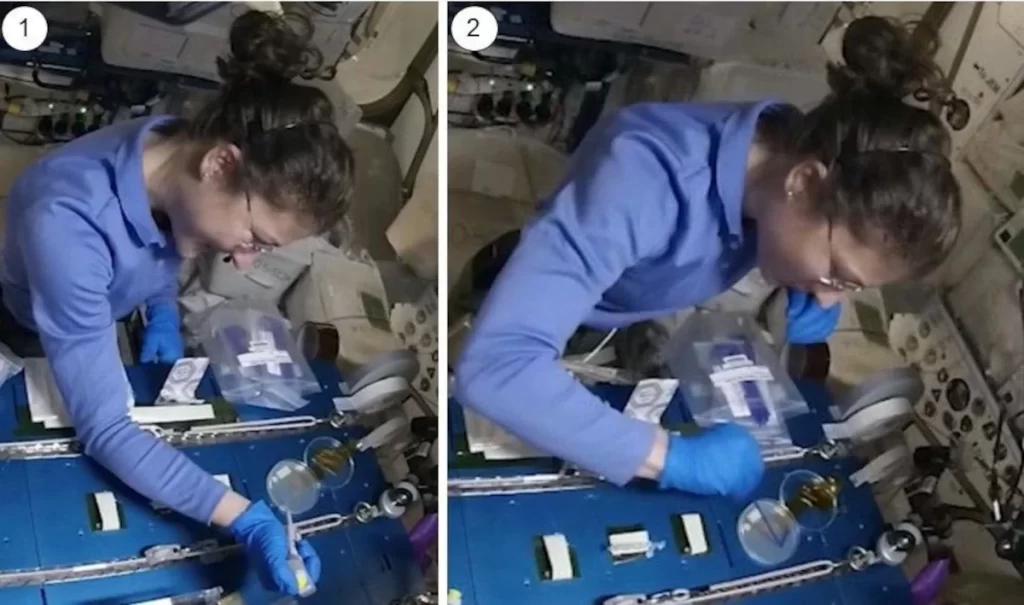 L'Astronauta della NASA Christina Kock esegue la procedura sperimentale a bordo della ISS