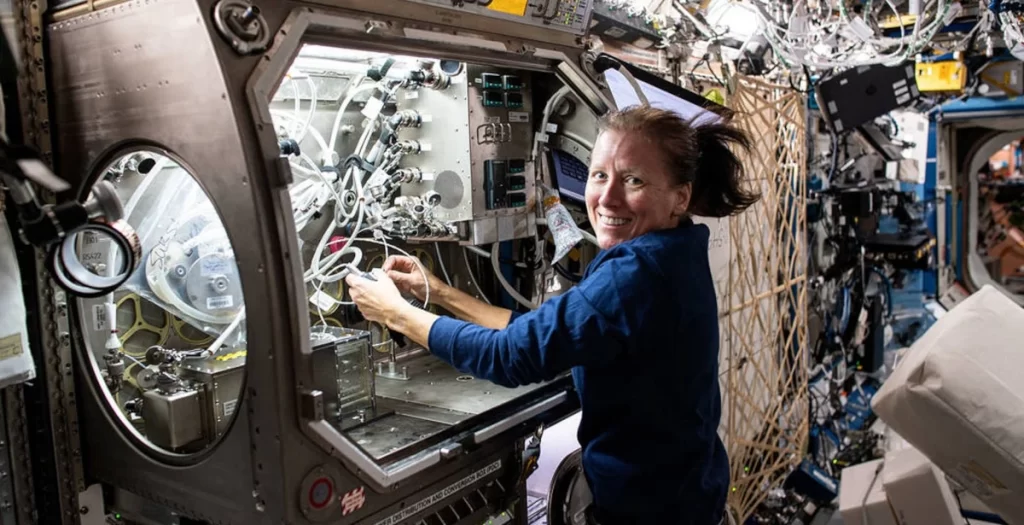 Allestimento di un esperimento a bordo della Stazione Spaziale Internazionale. 