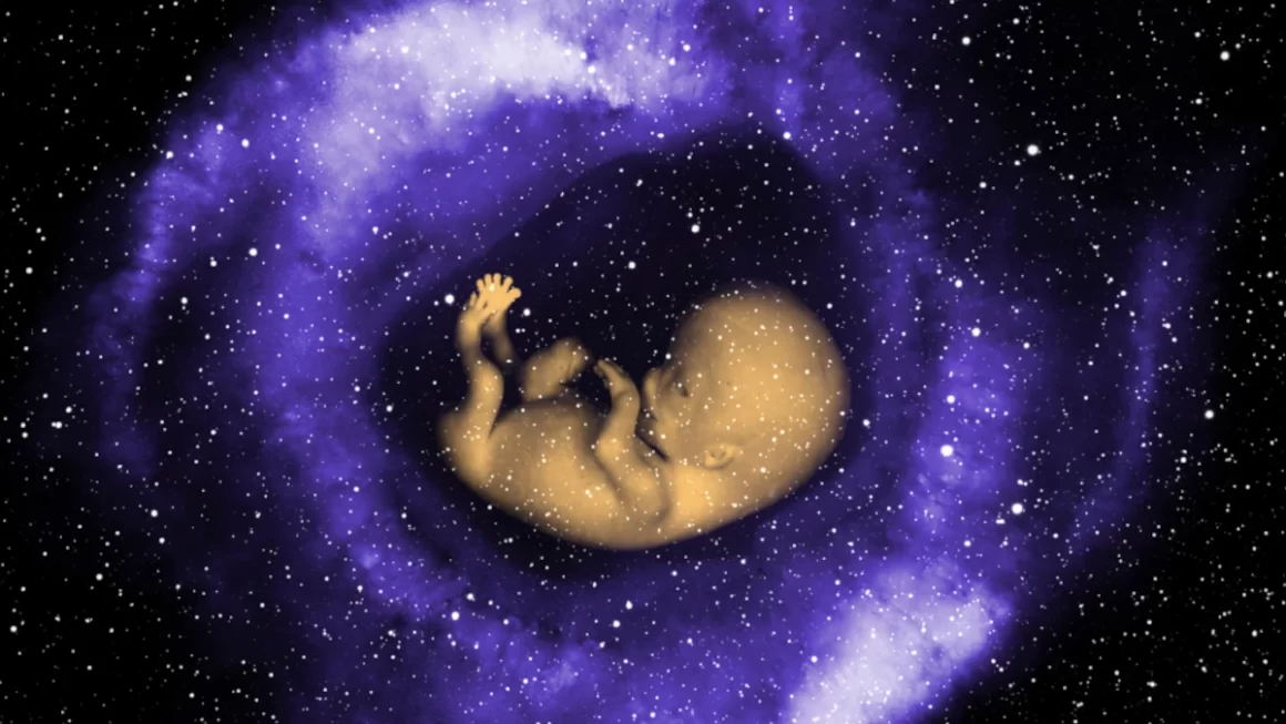 E' possibile portare avanti una gravidanza nello spazio?