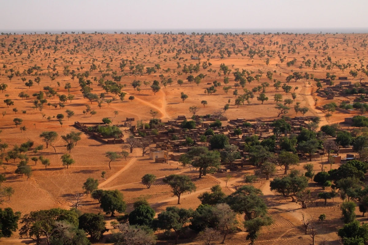 Une équipe internationale a cartographié la quantité de carbone piégé dans les arbres africains pour étudier le cycle du carbone mondial.