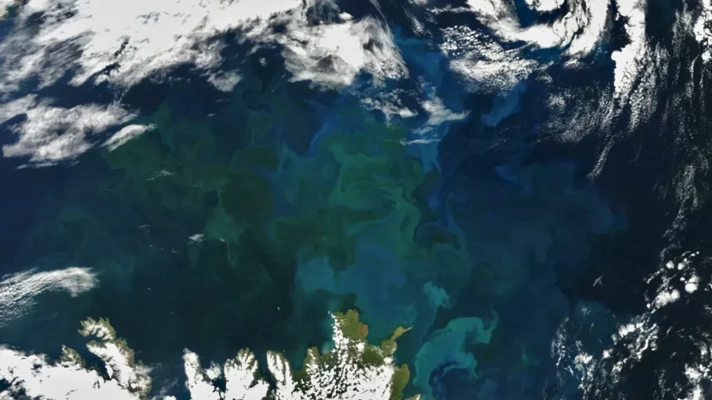Une étude publiée dans Nature révèle qu'au cours des 20 dernières années, la couleur des océans a changé et la cause est anthropique