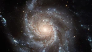 Secondo le ultime simulazioni computerizzate la struttura della nostra galassia, la via Lattea, è un anomalia nell'universo locale